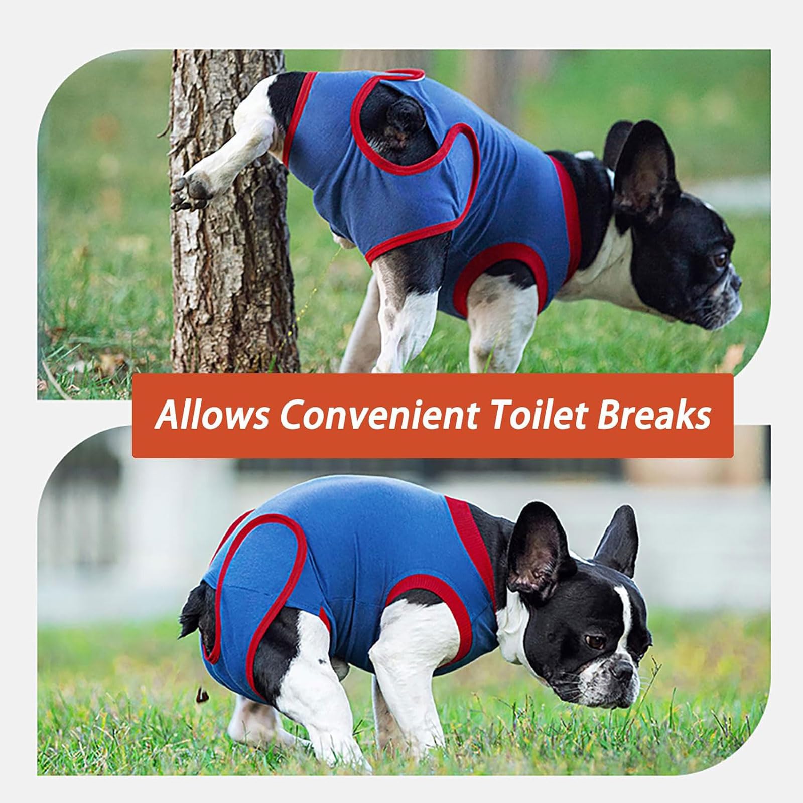 Amazon.co.jp: 犬の回復スーツソフト通気性ペットボディスーツペット