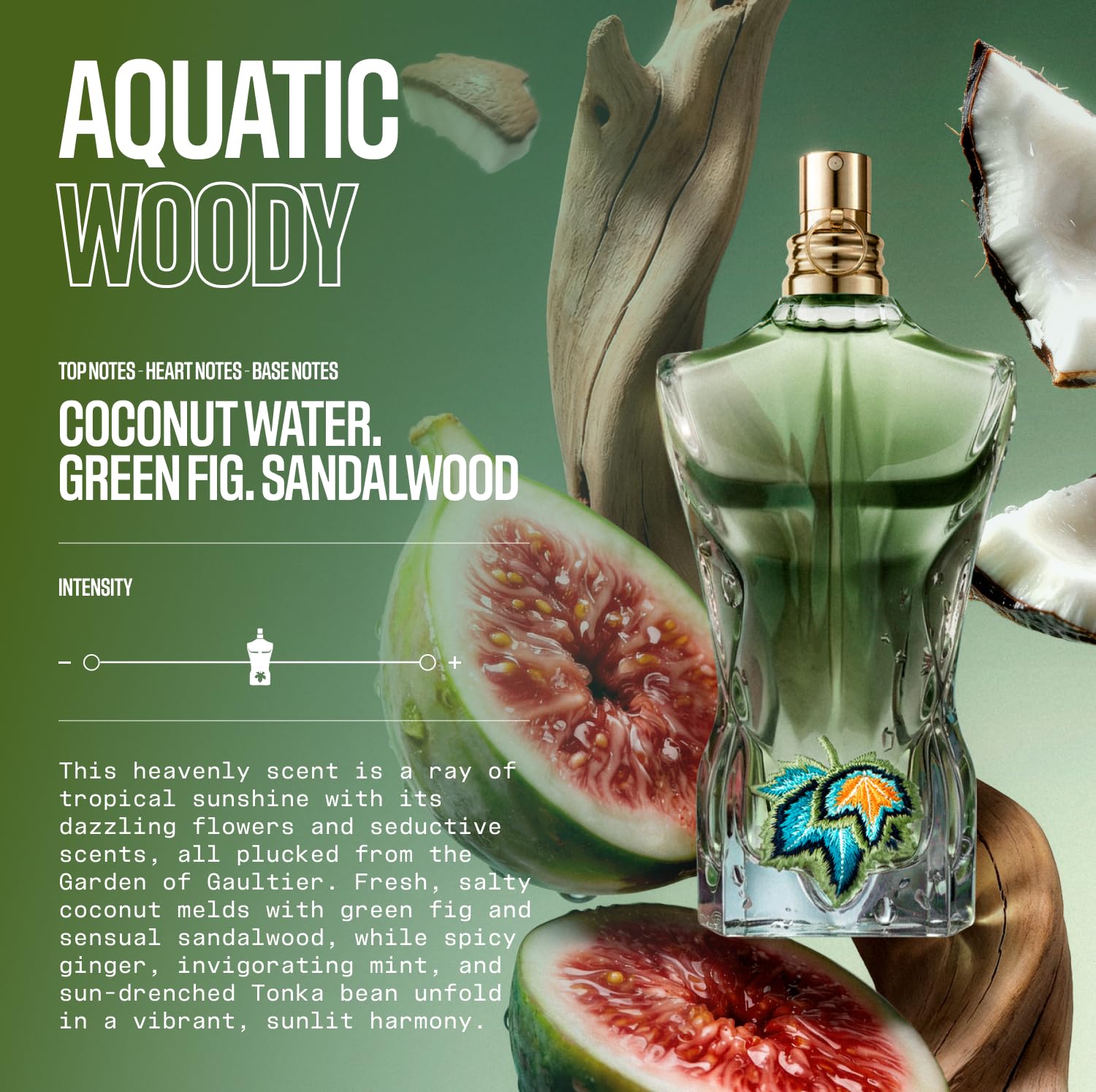 Amazon.com : Jean Paul Gaultier Le Beau Paradise Garden Eau de
