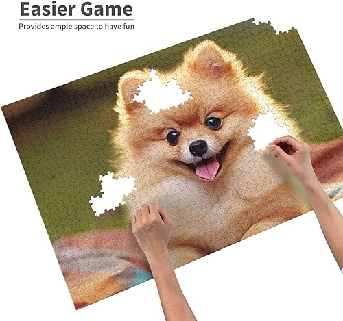 Miniatura 4 de Rompecabezas de 1000 piezas para adultos, rompecabezas desafiante de madera de Pomerania de pelo corto, rompecabezas personalizado con imagen para