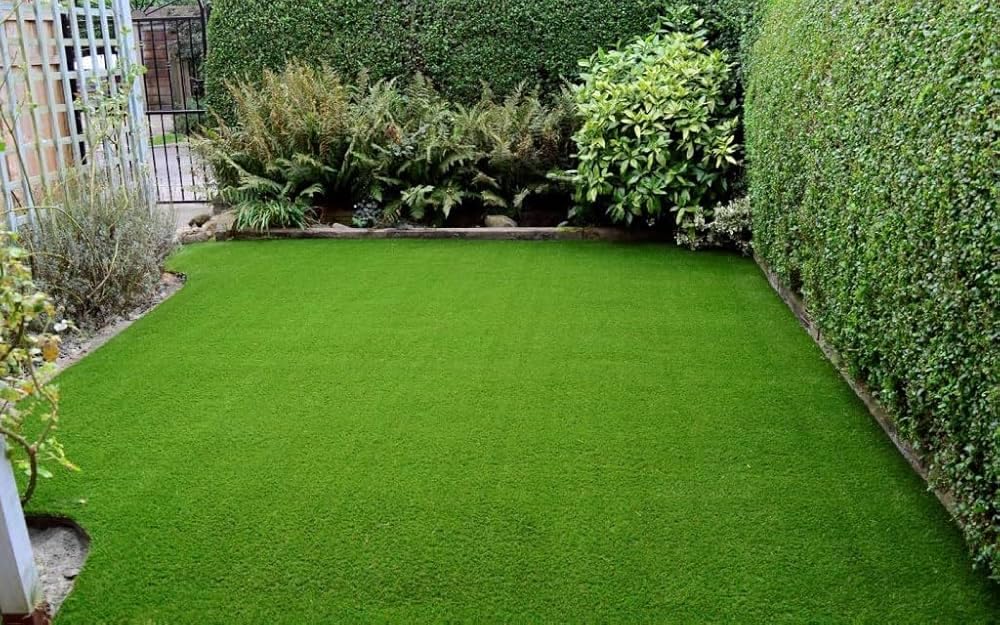 Garden grass seeds | Green grass seeds Pack of 3500 (B0DBHGRB3K) Amazon Price History, Amazon Price Tracker