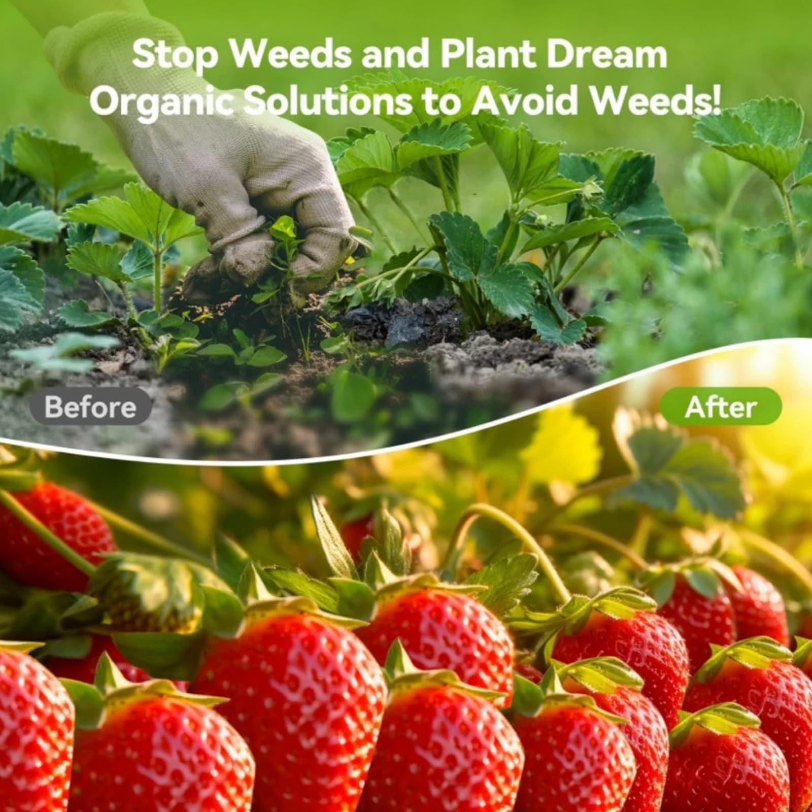 DAMGOLOZA 4ft x180ft Heavy Duty Weed Barrier Landscape Fabric, Woven Weed Control Fabric for Underlayment, Gardening Ground, Commercial Driveway Weed Block Cover Mat