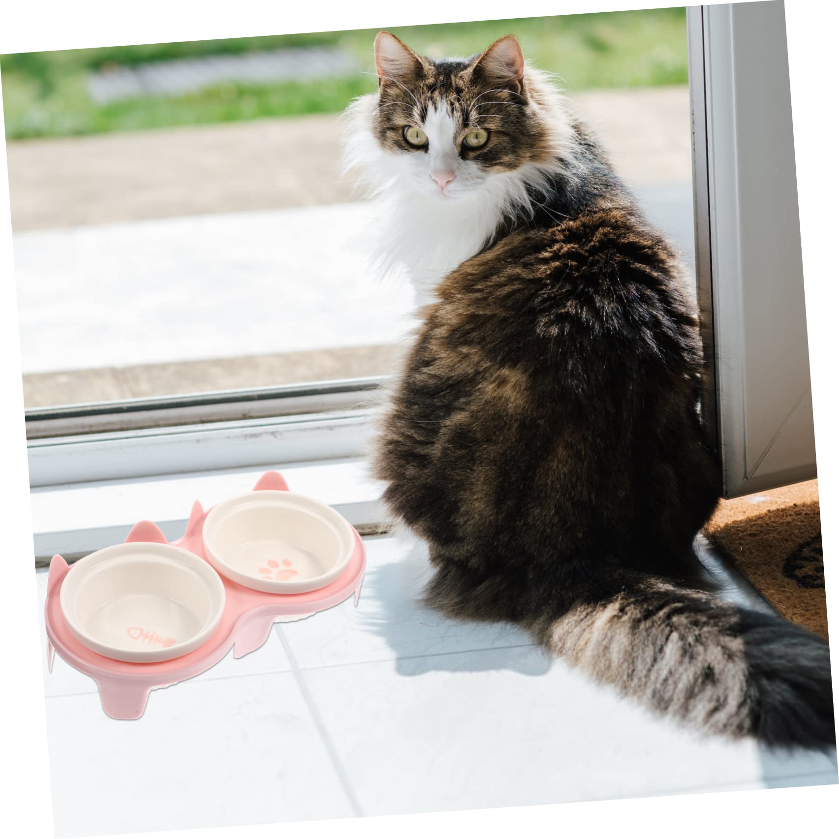 Hohopeti Erhöhter Katzennäpfe Aus Keramik Mit Bambusständer Für Haustierfutter Spülmaschinenfest Und Leicht Zu Reinigen Für Indoor-katzenhaltung