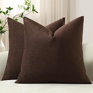 DEZENE Decorative Pillow Cases 18x18 Chocolate Brown: 2 Pack Cozy Soft Velvet Square Throw Pillow Covers for Farmhouse Home Decor