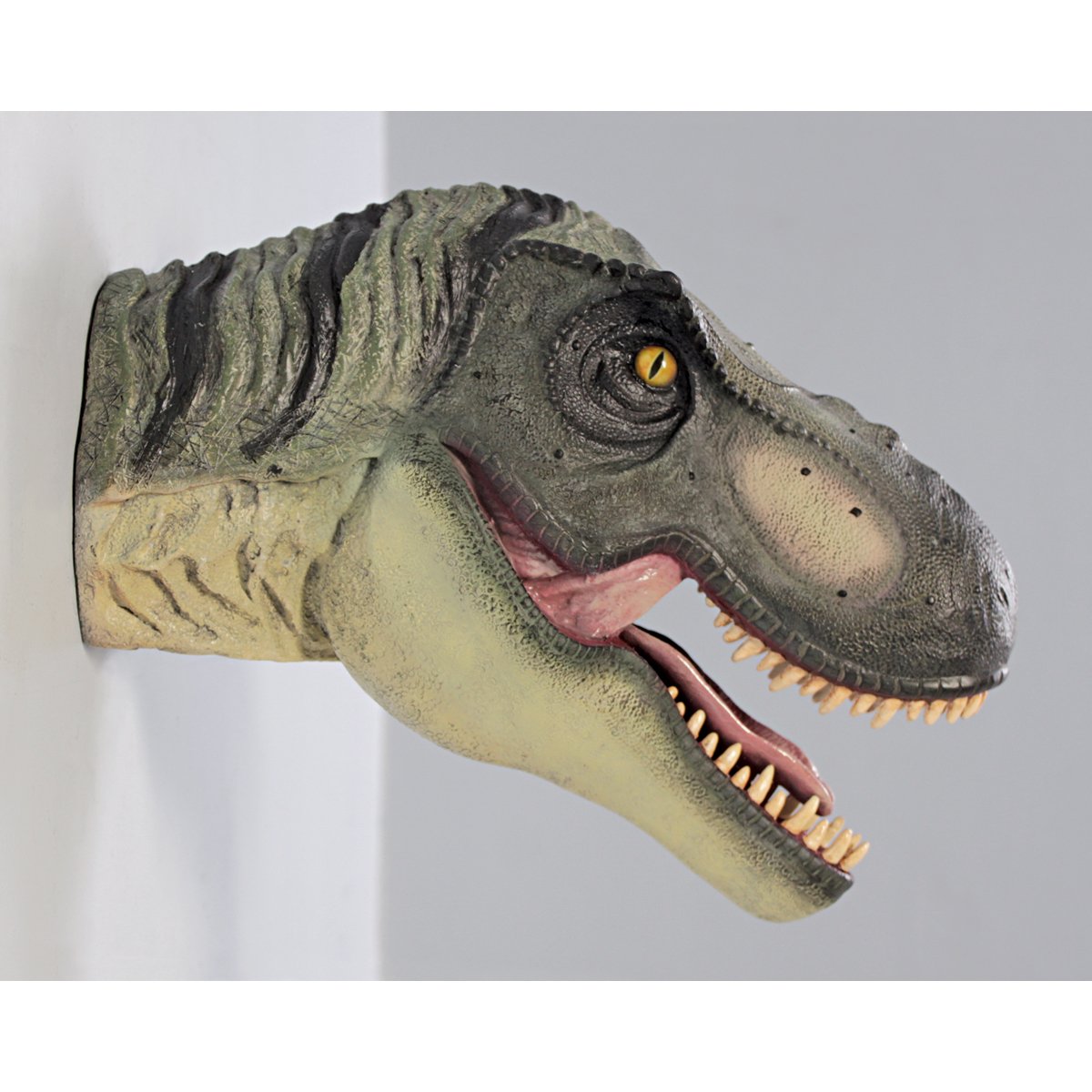 Design Toscano Trofeo Dinosauro T-Rex Da Parete - Scultura In Resina 38x43x37 Cm - Foto 6