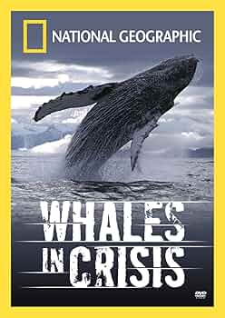 その他 Whales in Crisis [DVD] Amazon.co.jp: Whales in Crisis [DVD] : DVD