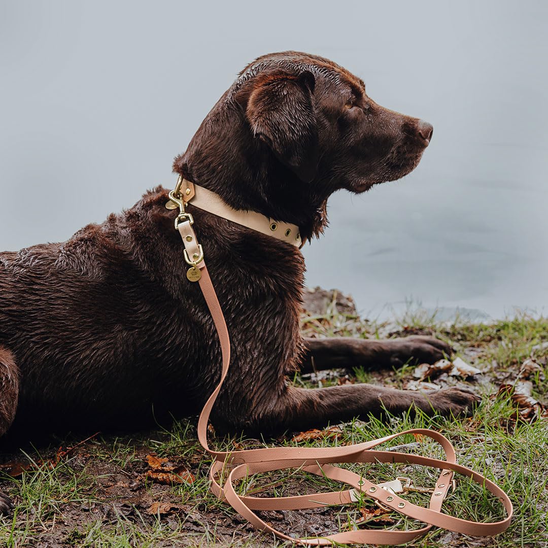 Guinzaglio per cani in Biothane, Made in Germany, 2 moschettoni e regolazione a 3 vie, guinzaglio da trazione, guinzaglio da corsa per cani accessori formazione (M-L, mocca/mousse)