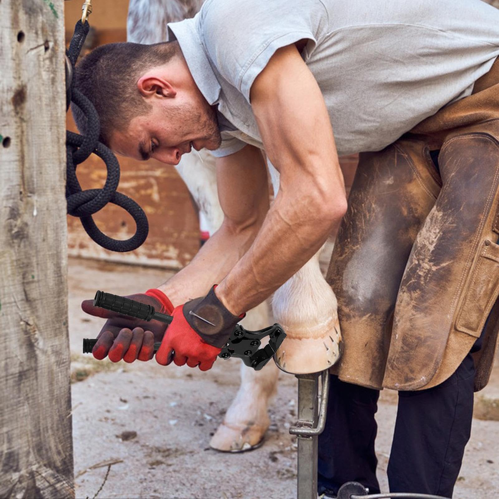 Alicates Para Cascos De Caballo Herramientas Y Dispositivos De Reparación | Tenazas De Acero Al Carbono Para Cabras Ovejas En Caballos Ganado Bovino Alpacas Y Ovejas