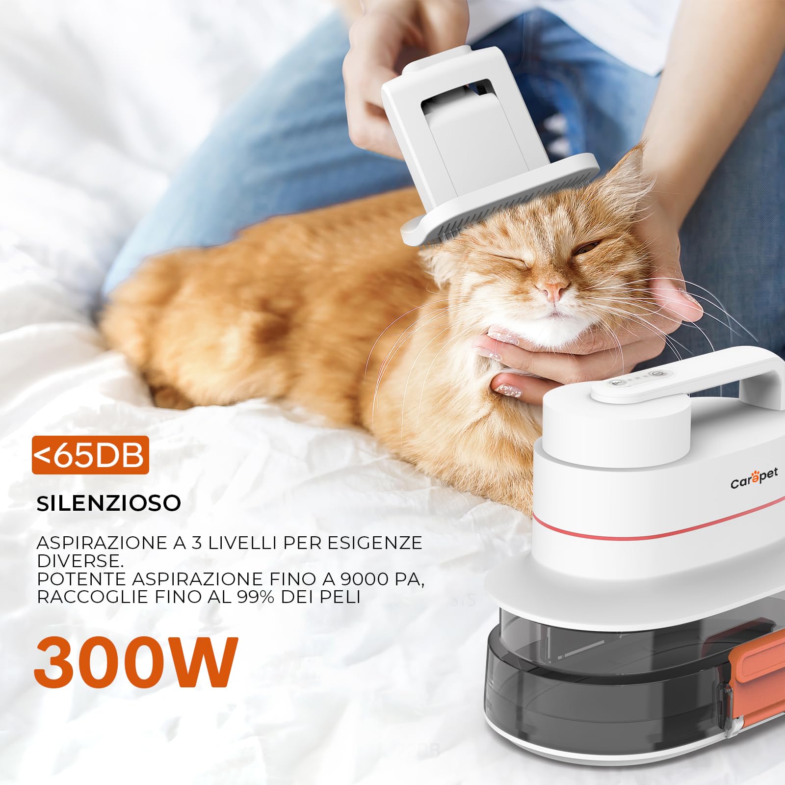 CAREPET Kit Toelettatura Asciugatura e Aspira peli Cane e gatto Per Animali Domestici - Tosatrice per Cani e Gatto Pelo Lungo Professionale - Strumenti per la toelettatura Depilazione Aspira peli