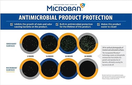 Miniatura 8 de Arctic Zone Lonchera expandible HardBody, color negro y blanco, enfriador vertical aislado con forro duro, divisor ajustable, fácil de limpiar,