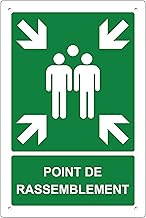 pubblimania Point de Rassemblement Panneau de sécurité en aluminium métal 3 mm d'épaisseur (Cm 20x30) (Point de Rassemblement) (1 Point de Rassemblement)