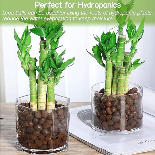 Miniatura 6 de ZeeDix Guijarros de arcilla expandida de 6 libras para plantas, leca de 4 a 0.630 in para plantas, medios de cultivo agregados de arcilla, bolas de