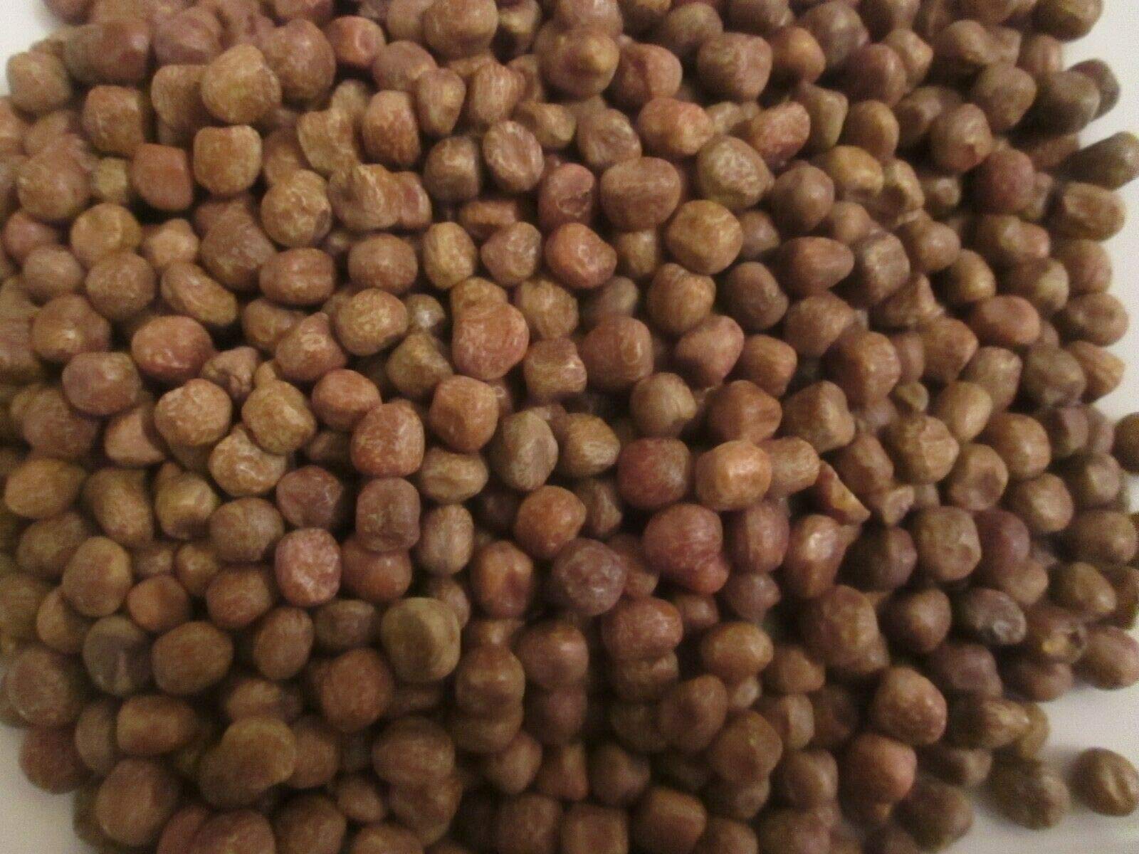 50 Seeds of Rare Heritage Heirloom Black Carlin Pea