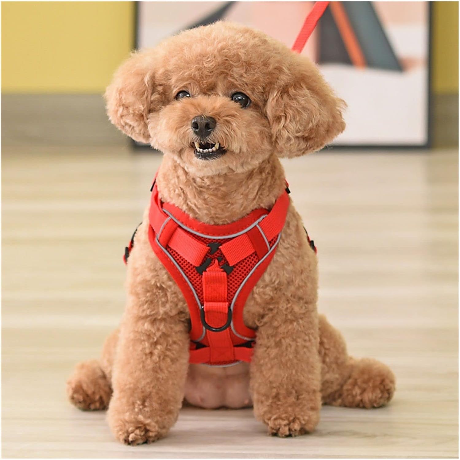 Dog Vest with Leash Adjustable Walking Supplies Soft Breathable Pe