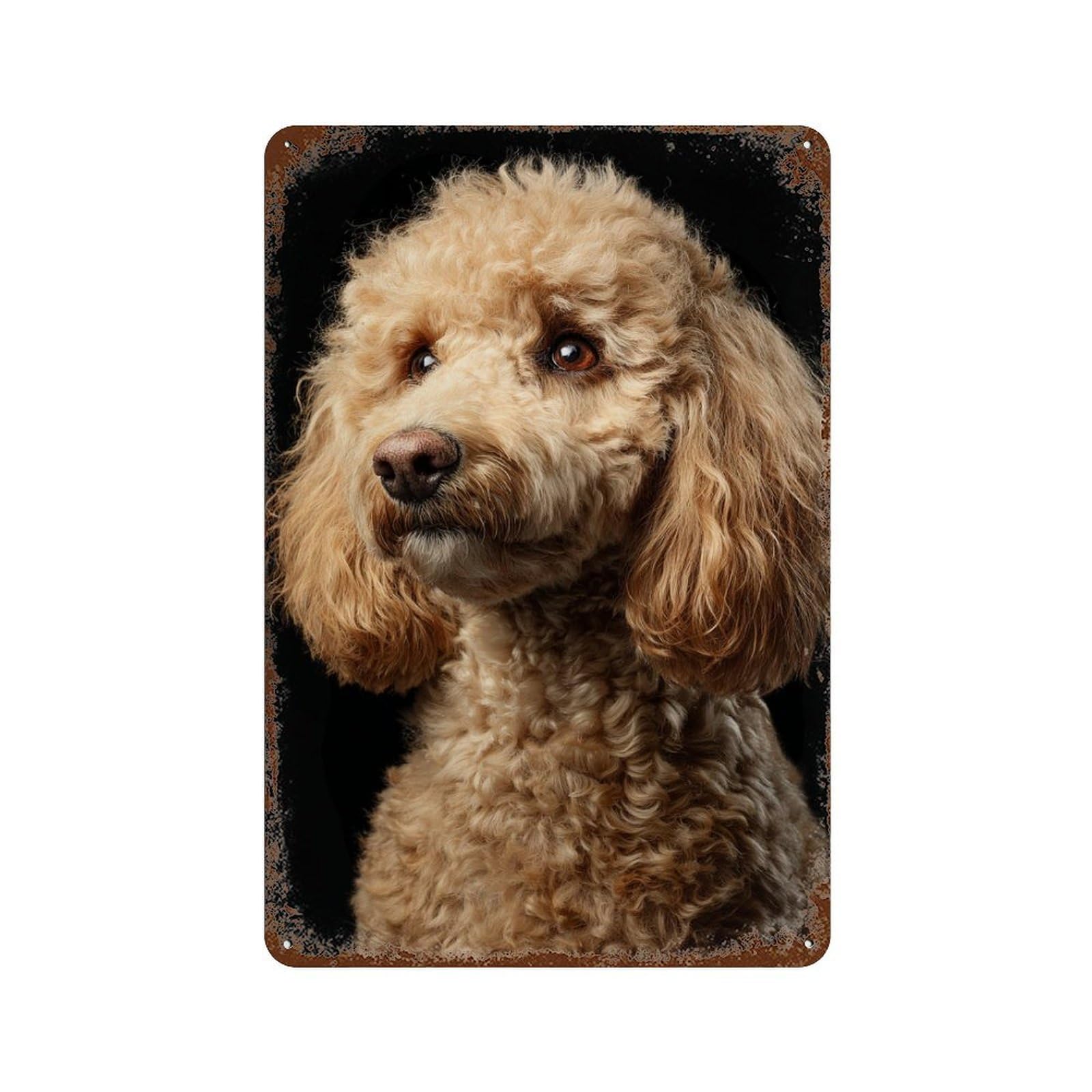 Fluffy Poodle Dog Breed Rust Effect Tin Sign 11.8"x7.9", Rustic Home Decor for Garage, Bar And Workshop Decor