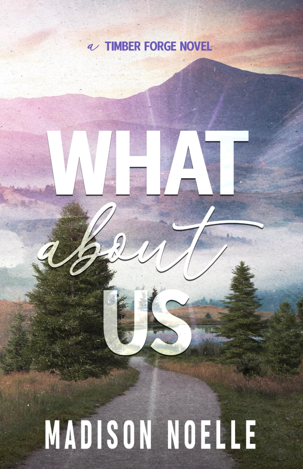 What About Us (A Timber Forge Series)