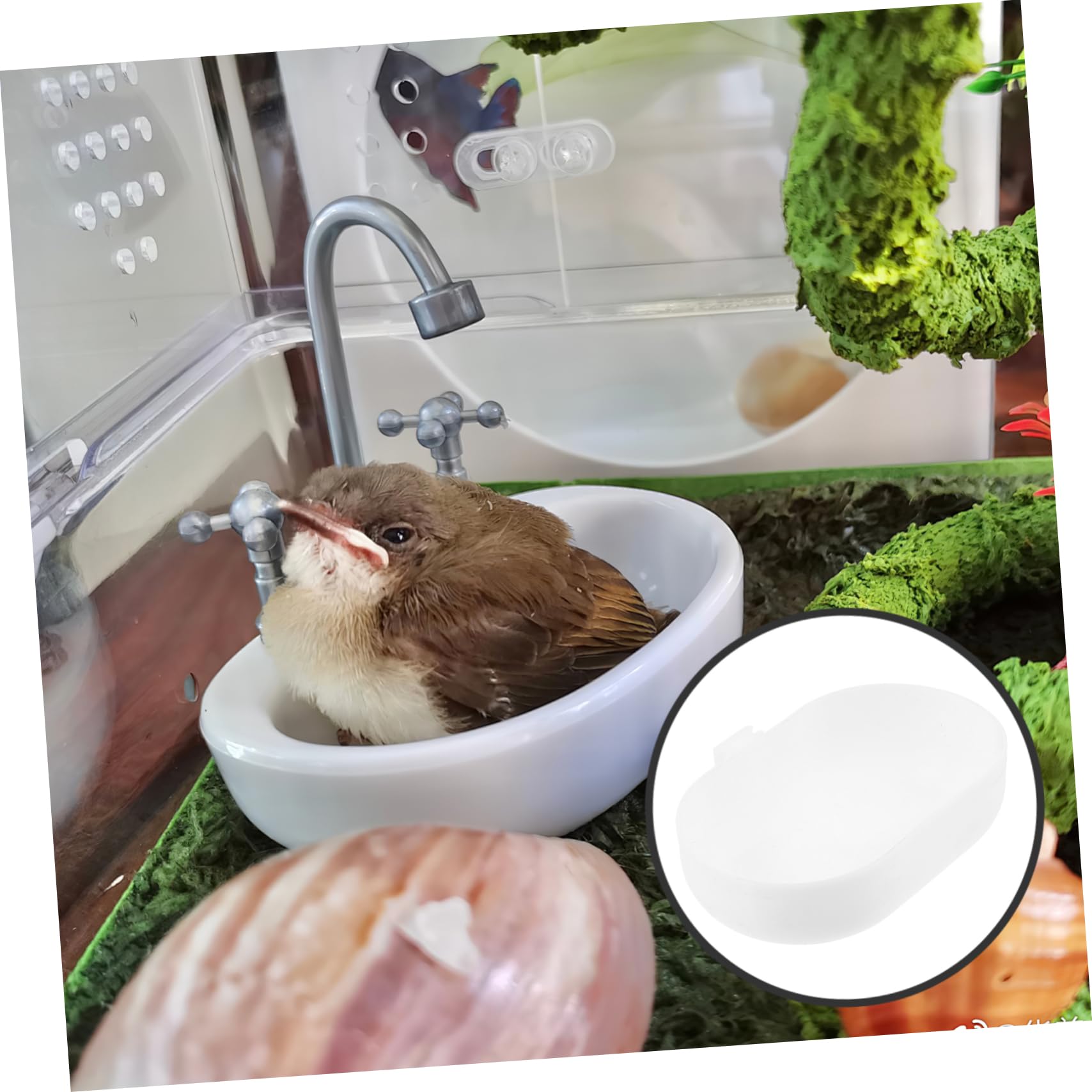 POPETPOP 5 Set Bagno per Uccelli Accessori Pappagalli Accessori per Pappagalli Pratica Vasca da Bagno A Pappagallo Vasca da Bagno A Gabbia per Pappagalli Plastica Bianca 5 Pezzi * 5