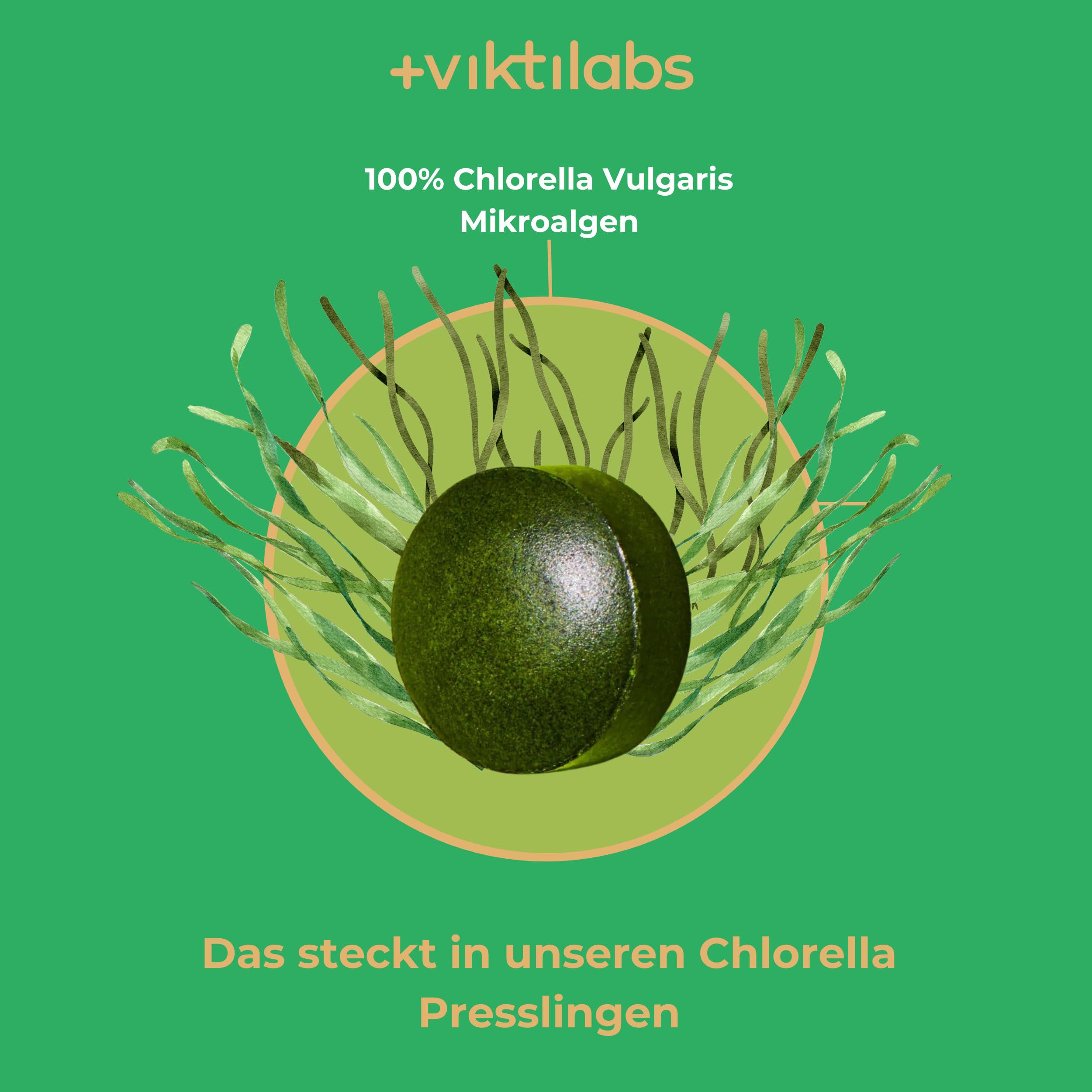 Chlorella Vulgaris - natürliche Mikroalgen - hochdosiert - 300 mg Chlorella pro Pressling - 10 Presslinge pro Tag - 300 vegane - ohne Zusatzstoffe