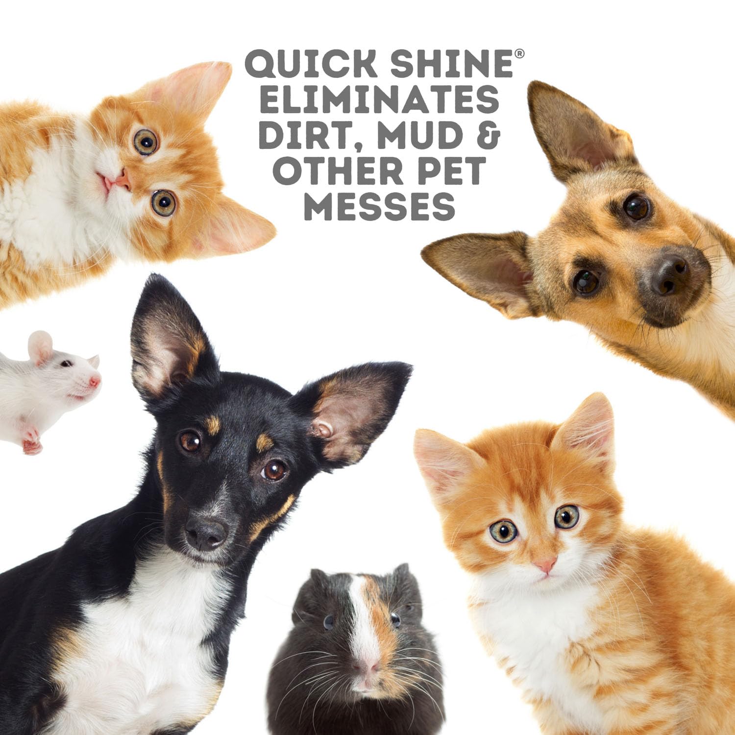 Quick Shine Limpiador de suelos para mascotas a base de plantas, 27 onzas, listo para usar, elimina la suciedad, sin rayas, sin enjuague, madera dura, laminado, tablón de vinilo de lujo LVT y