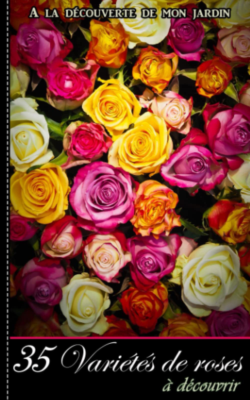 35 Variétés de roses à découvrir | A la découverte de mon jardin: Fiche découverte rosier | Fleurs du jardin | Cadeau jardinier en herbe