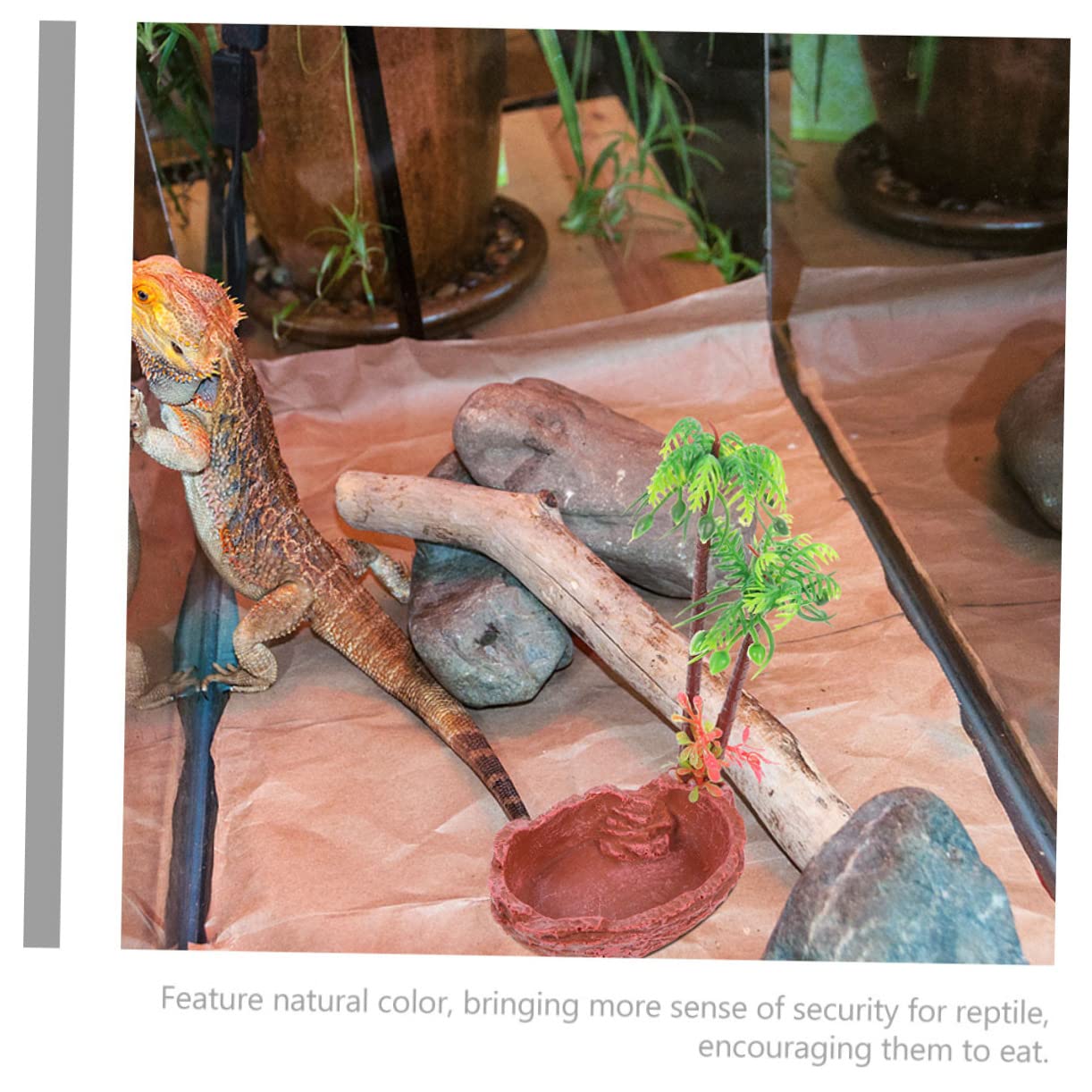 Accesorios para Fomentar la Alimentación de Resina para Reptiles Diseño Natural 2 Cuencos Verde Comederos Seguros para Serpientes y Reptiles en Terrarios