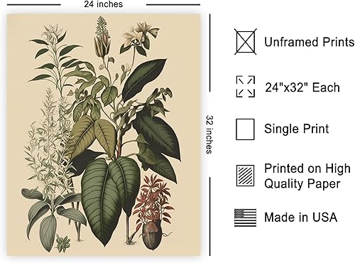 Miniatura 546 de Poster Master Póster vintage de orquídea, estampado de flores retro, arte de pared de plantas exóticas, arte botánico, regalo para hombres y