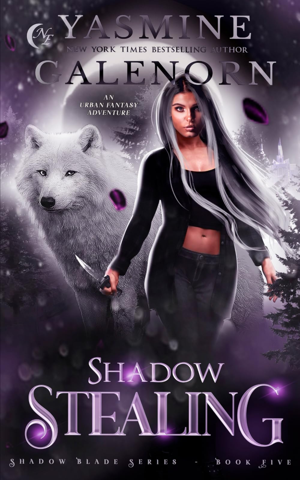 Shadow Stealing: An Urban Fantasy Adventure (Shadow Blade Series)