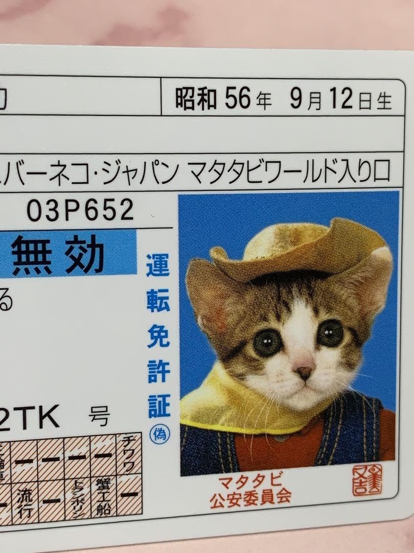 お値下げ交渉可能です。なめ猫 免許証 お値下げ交渉可能です。なめ猫 免許証 お値下げ交渉可能です。なめ猫