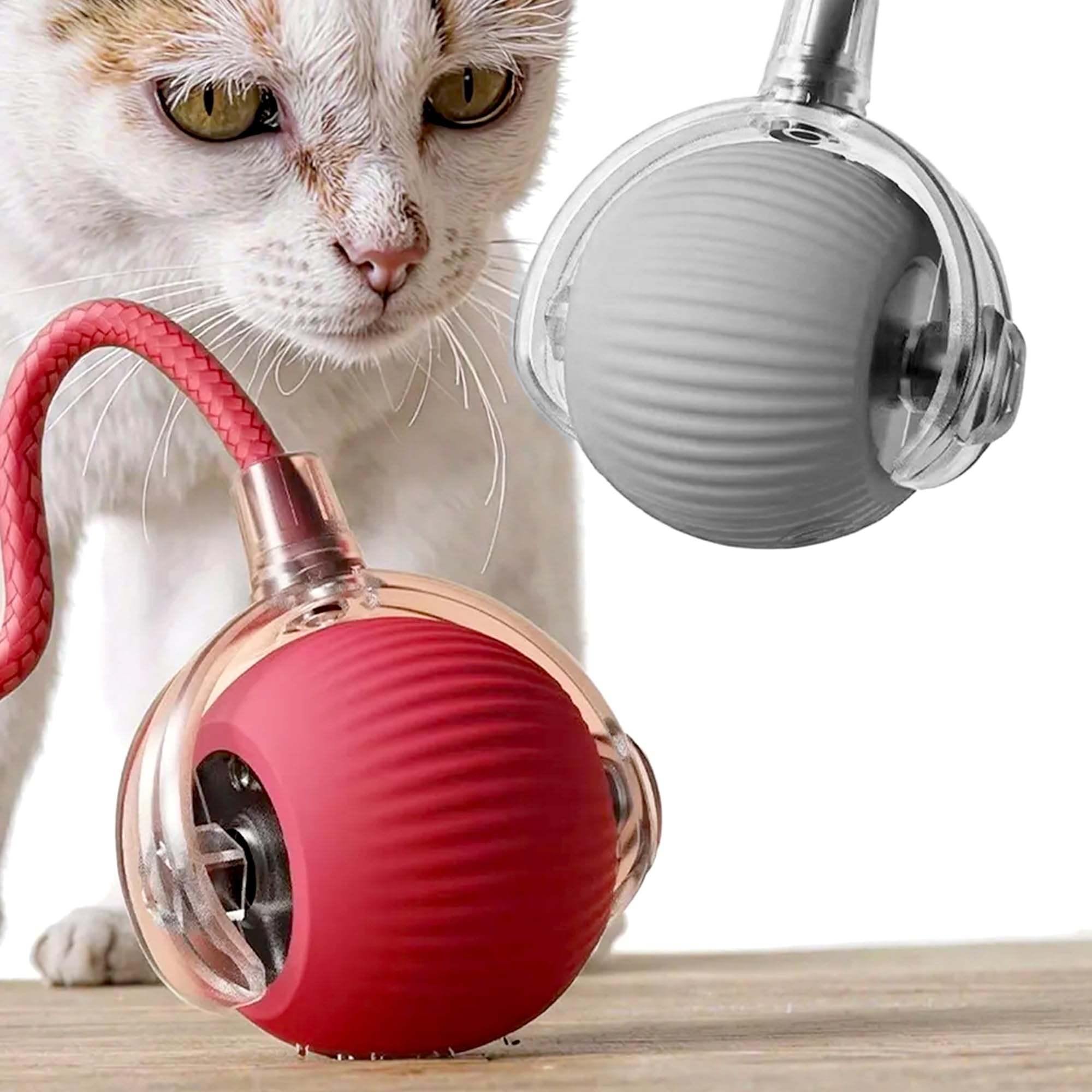 Qashu Pack of 2 Interactive Smart Moving Cat Toys, Rechargable Automatic Toys For Indoor Cats and Kitten, Activates catβs hunting instinct, 3 Speed Modes, LED Light (RED & GREY 2pcs)