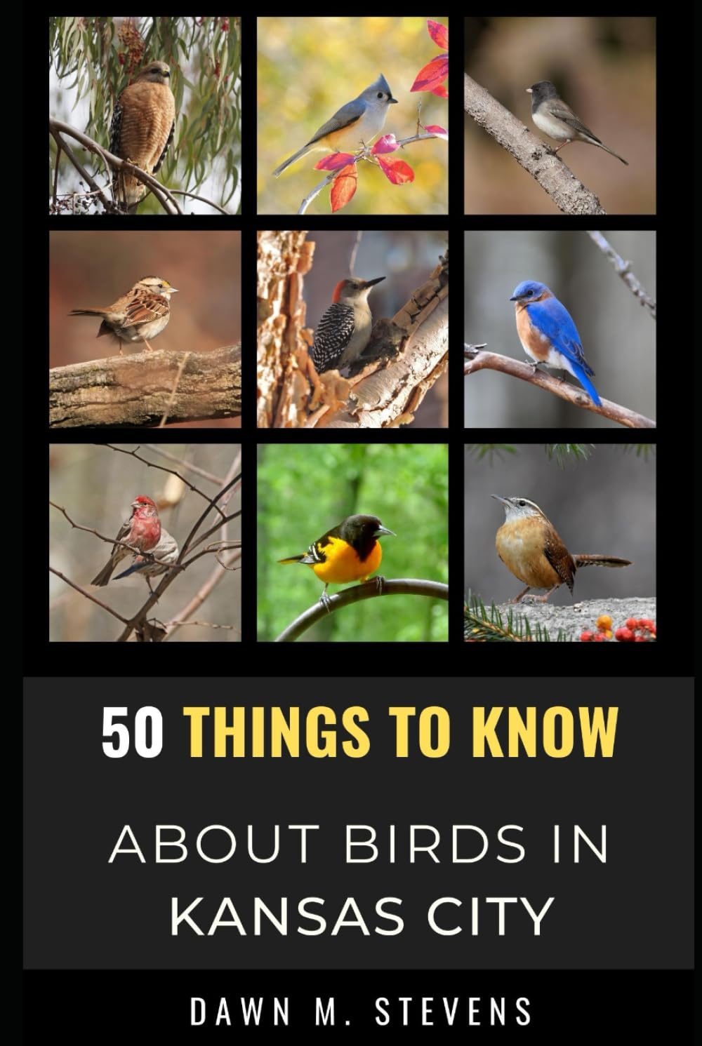 50 Things to Know About Birds in Kansas City Missouri: A Local Guide to Birdwatching, Backyard Birds, and Urban Nature (50 Things to Know About Birds ... identification tips, and regional bird books)