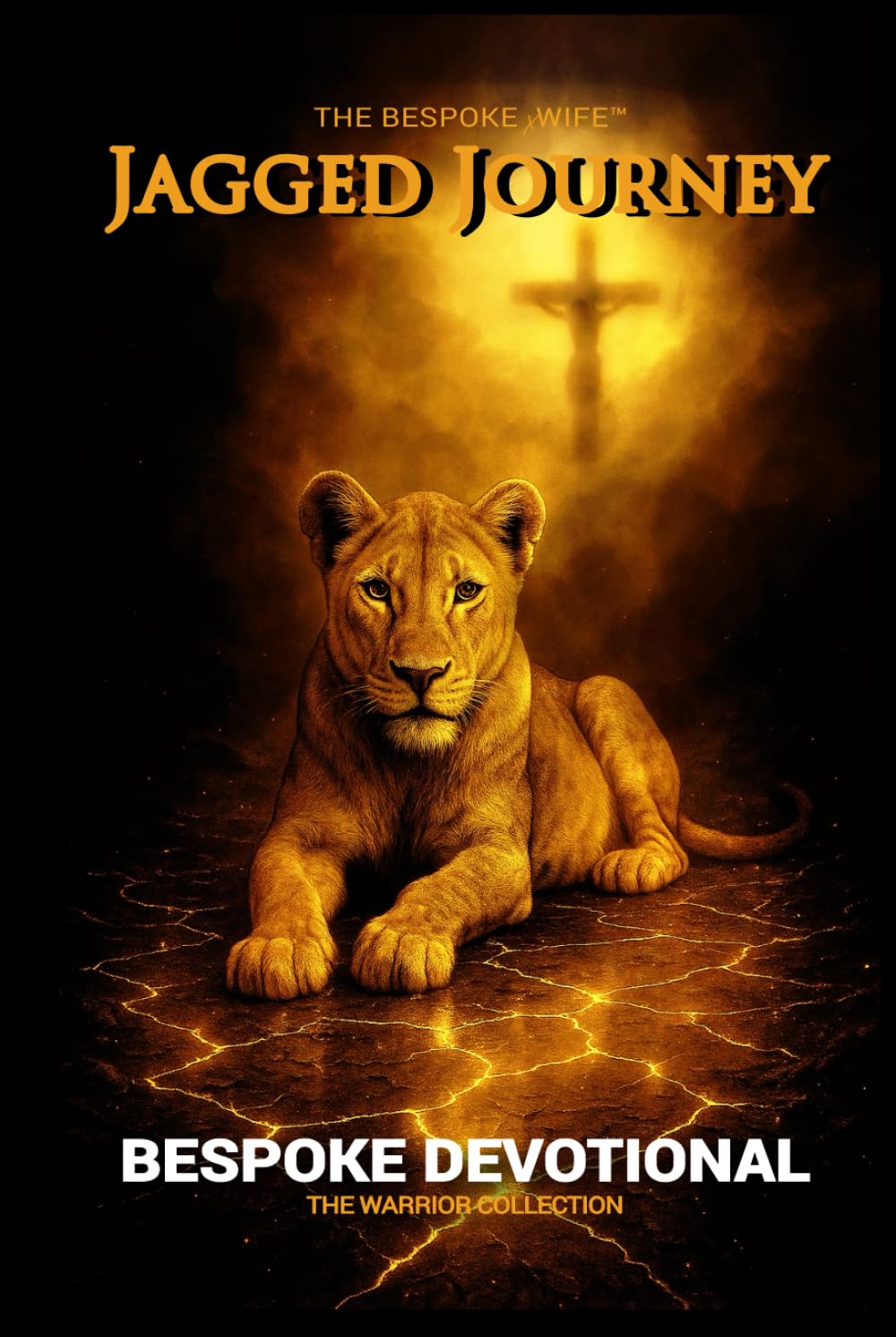 Ends Now: Bespoke Devotional (365 days): JAGGED JOURNEY