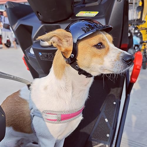 Miniatura 6 de Namsan Casco para perros pequeños y medianos, cascos de motocicleta con orificios para las orejas, casco para exteriores para protección de la