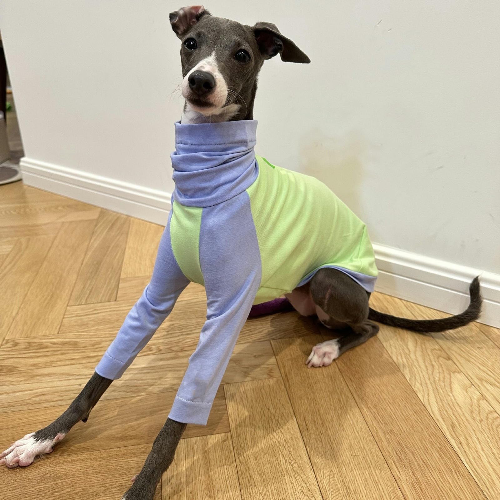 Ropa de Galgo Italiano para Primavera y Verano, Camisa Fina de algodón para Perro, Jersey de Cuello Alto, Camisetas para Perros, Disfraces Suaves y Transpirables para Perros
