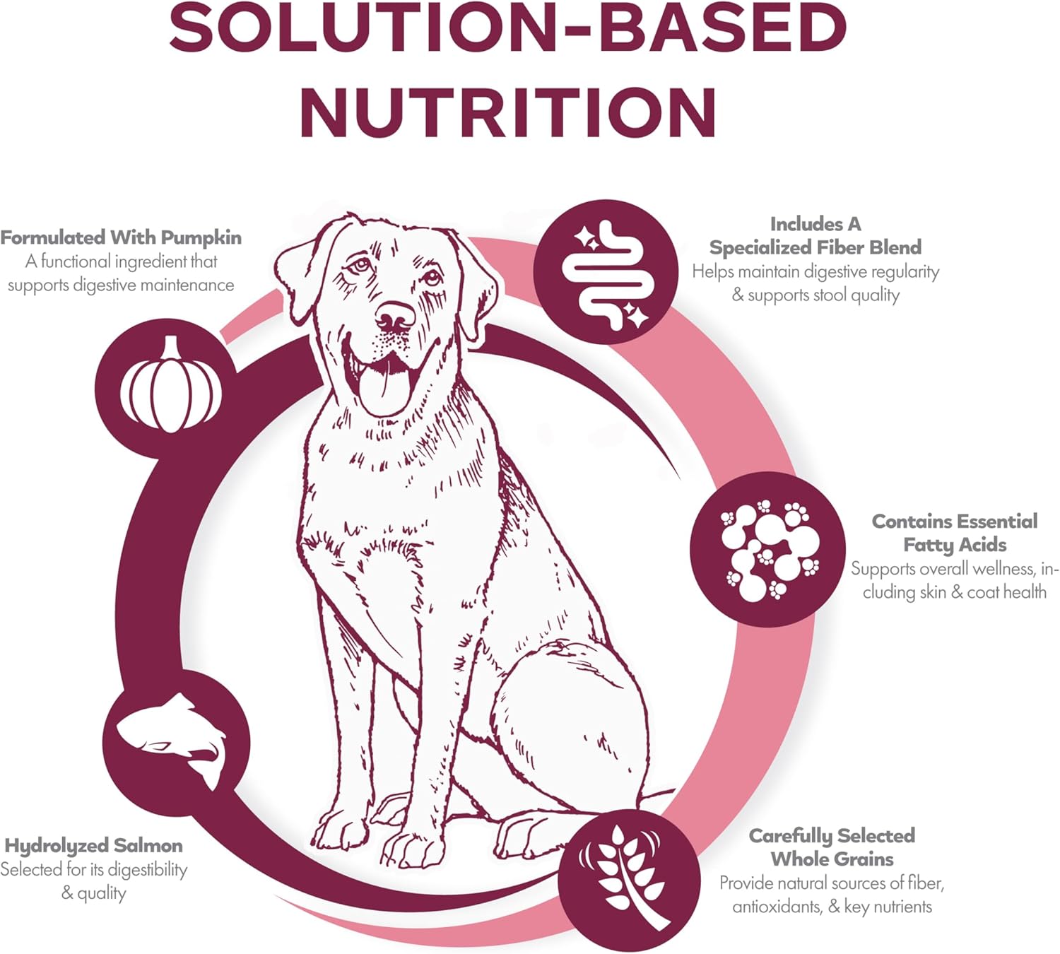 Fromm Family Nutritionals Sensitive Skin & Stomach Dry Dog Food - Salmon & Whole Oats Recipe - Supports Skin, Coat, & Digestive Health - Contains Omegas & Pumpkin - 4 lb