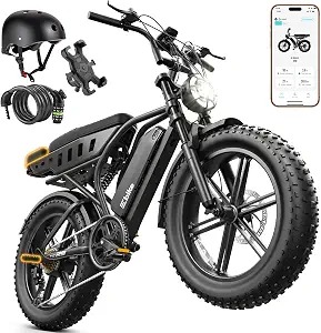 TST Electric Bike for Adults 1500W Peak 20