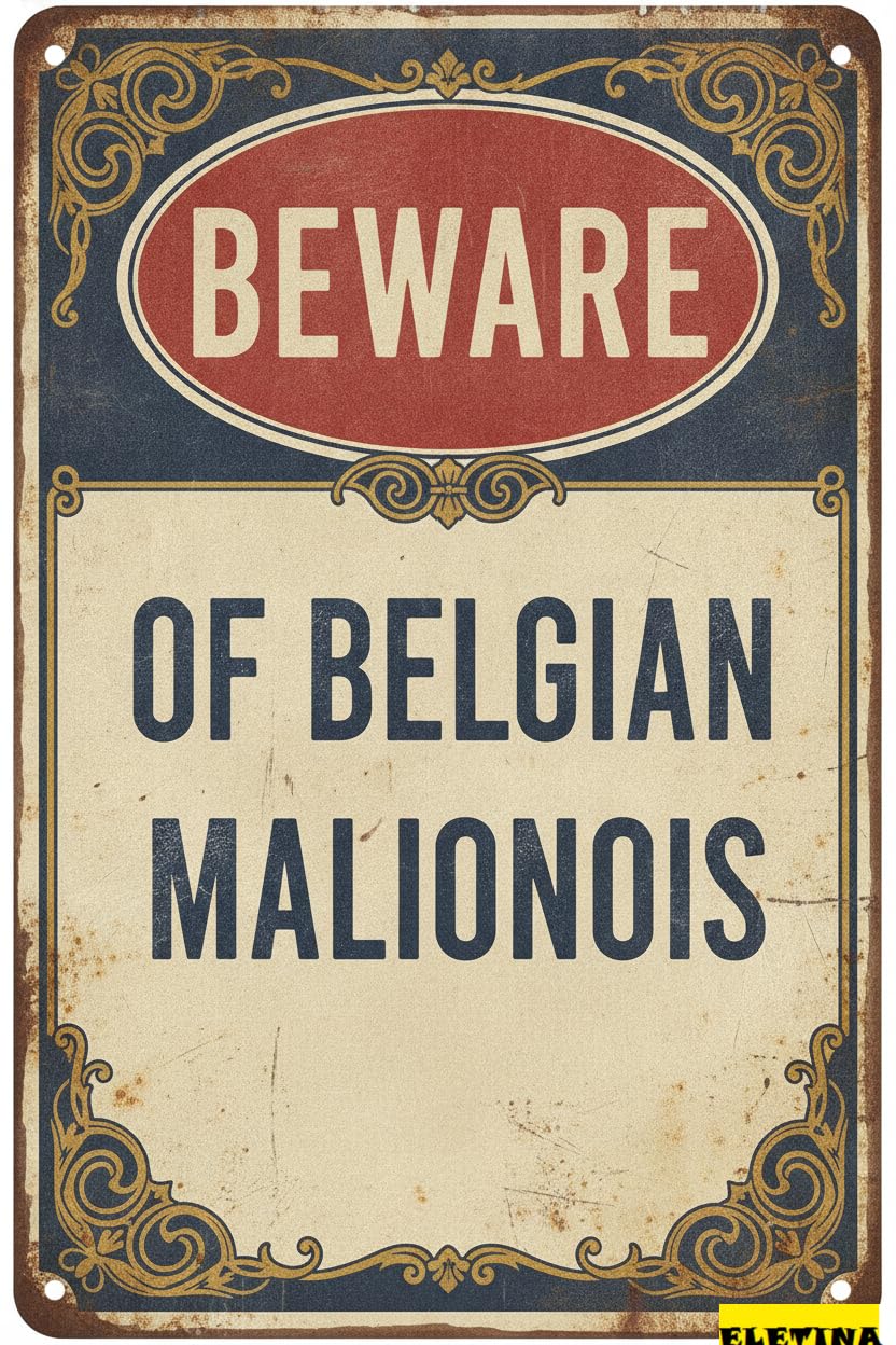 Personalized Sign for Man Cave Beware Of Funny Adt Security S Beware Of Belgian Malinois Metal S House Adt Security S Yard Beware (color : Decor A, Size : 8x12 In) Private Property Decorative