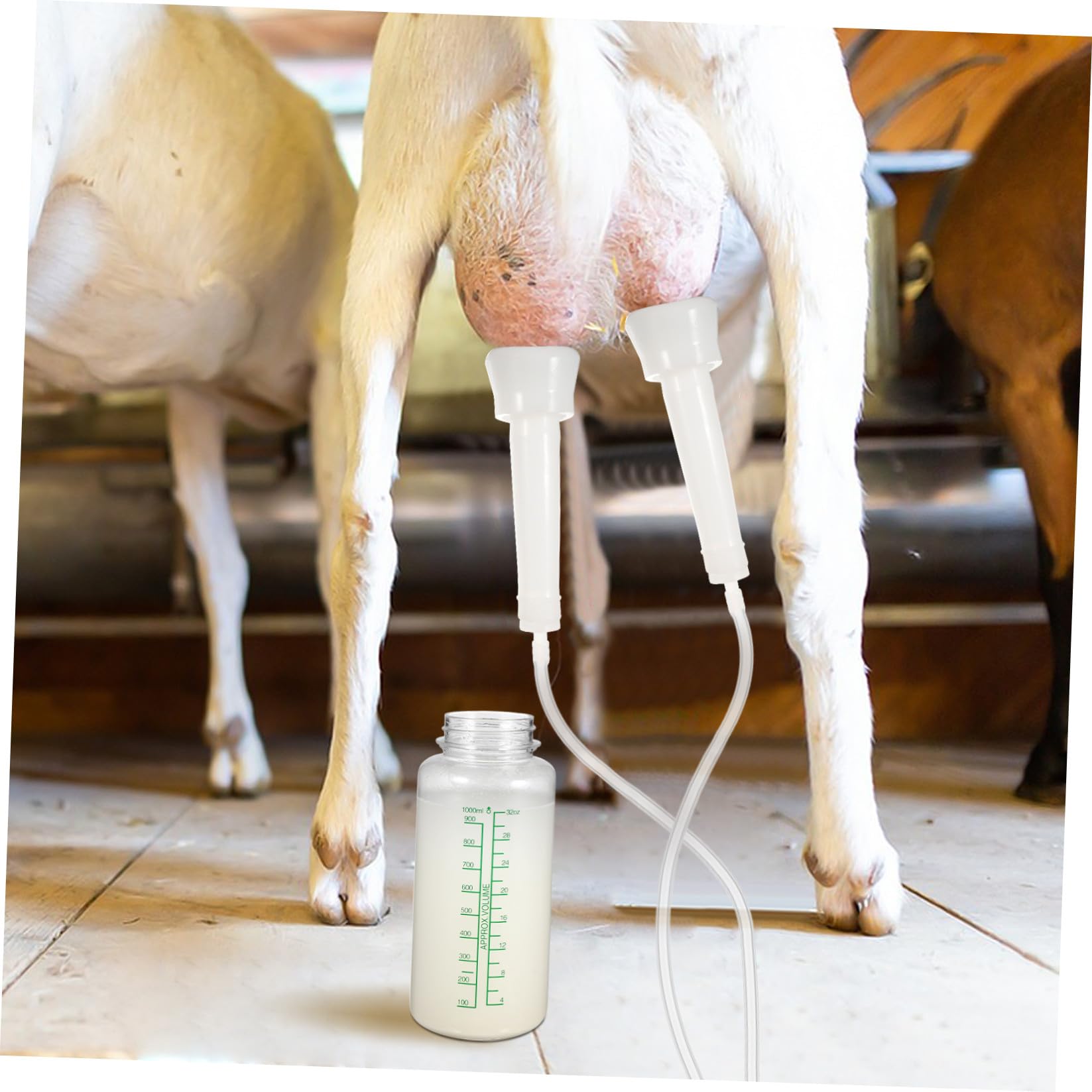 Ciieeo Macchina la Mungitura Manuale del Bestiame, Mungitrice Riutilizzabile in Plastica Leggera per Mucche e Pecore, Forniture Agricole Compatte per Allevamenti Domestici