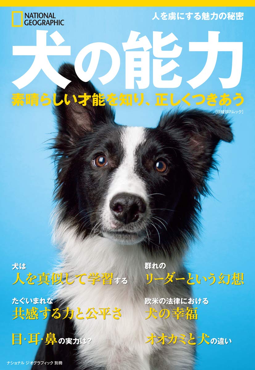 犬の能力 素晴らしい才能を知り 正しくつきあう ナショナル ジオグラフィック別冊 ナショナル ジオグラフィック 配送料無料 犬の能力 素晴らしい才能を知り 正しくつきあう ナショナル ジオグラフィック別冊 ナショナル ジオグラフィック 配送料無料