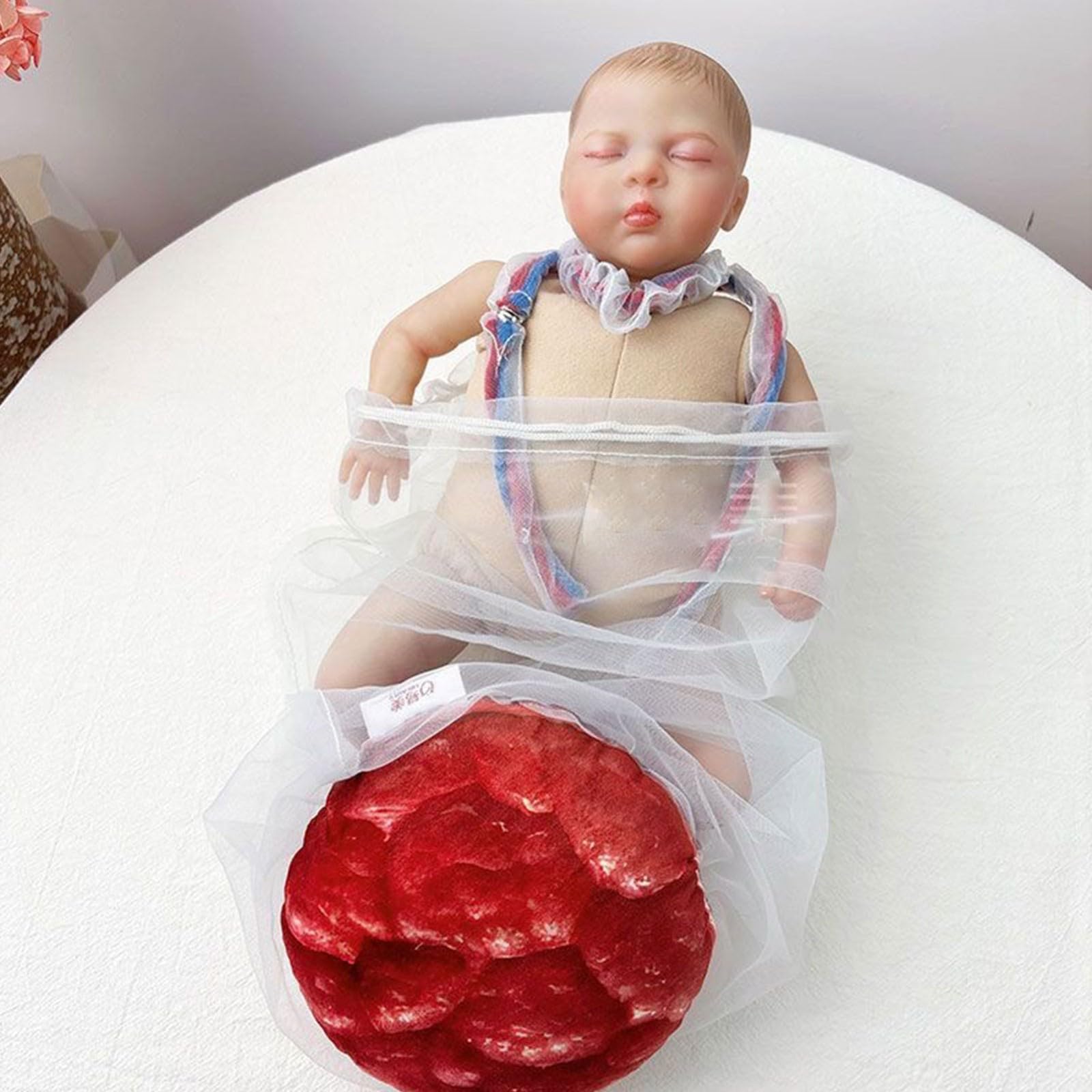 Modèle de bassin de démonstration d'accouchement, section pelvienne féminine humaine, grossesse, fœtus anatomique, cordon ombilical, placenta, simulateur d'accouchement pour étude