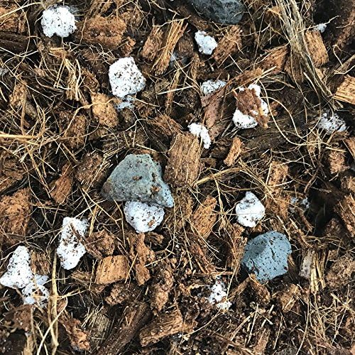 All Purpose Classic Orchid Potting Mix (Junior Bag)