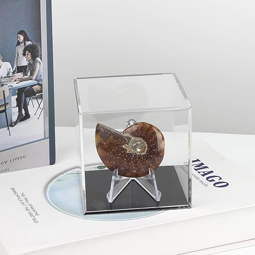 Miniatura 3 de Caja de exhibición de recuerdos de acrílico transparente, caja de soporte de exhibición de caballete de acrílico y soporte para relojes, cápsulas,