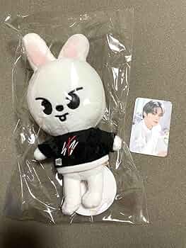 Stray Kids スキズ リノ トレカ グッズ leebit ぬいぐるみ 71Dr2oC744L._UF350,350_QL50_.jpg