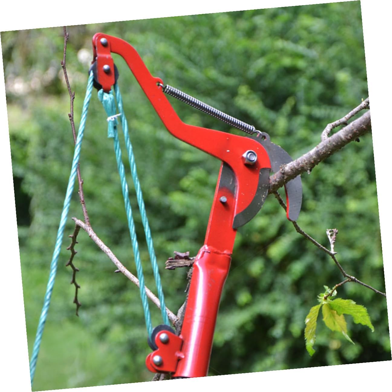 Extendable Tree Pruner Steel Labor Saving Spring for Twigs Plants