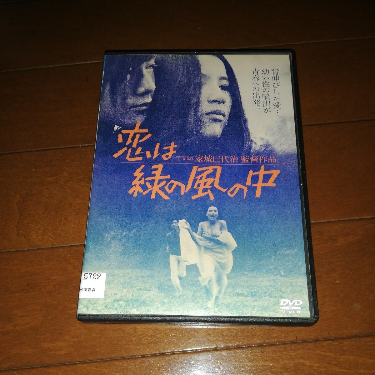 恋は緑の風の中 [DVD] Amazon.co.jp: '恋は緑の風の中 DVD'佐藤佑介、原田美枝子、水野久美