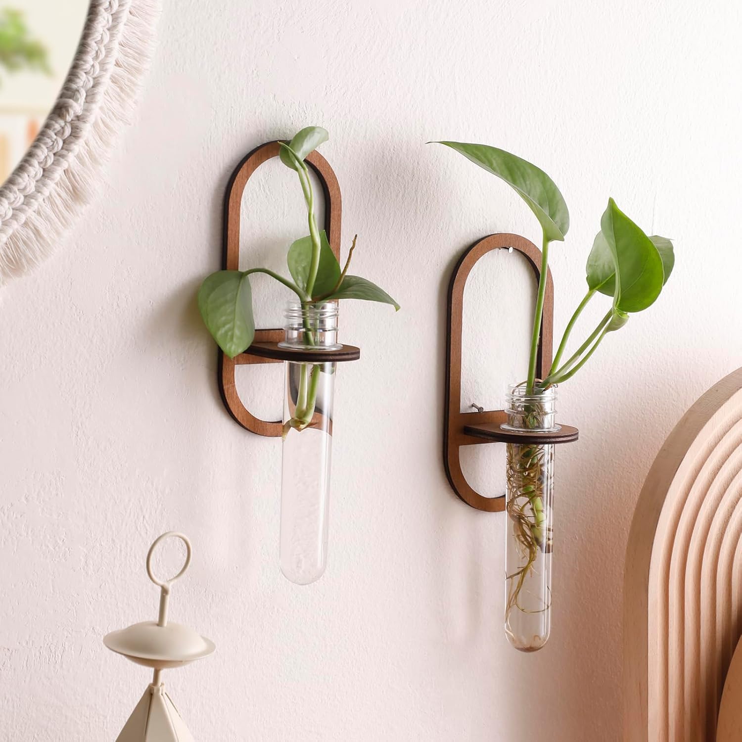 2 Pack Plant Propagation Station Wall Hanging Wooden Shelf Plant Terrarium for Hydroponics Home Office Decor Test Tube Propagate Air Plant Cutting Holder - Image 2
