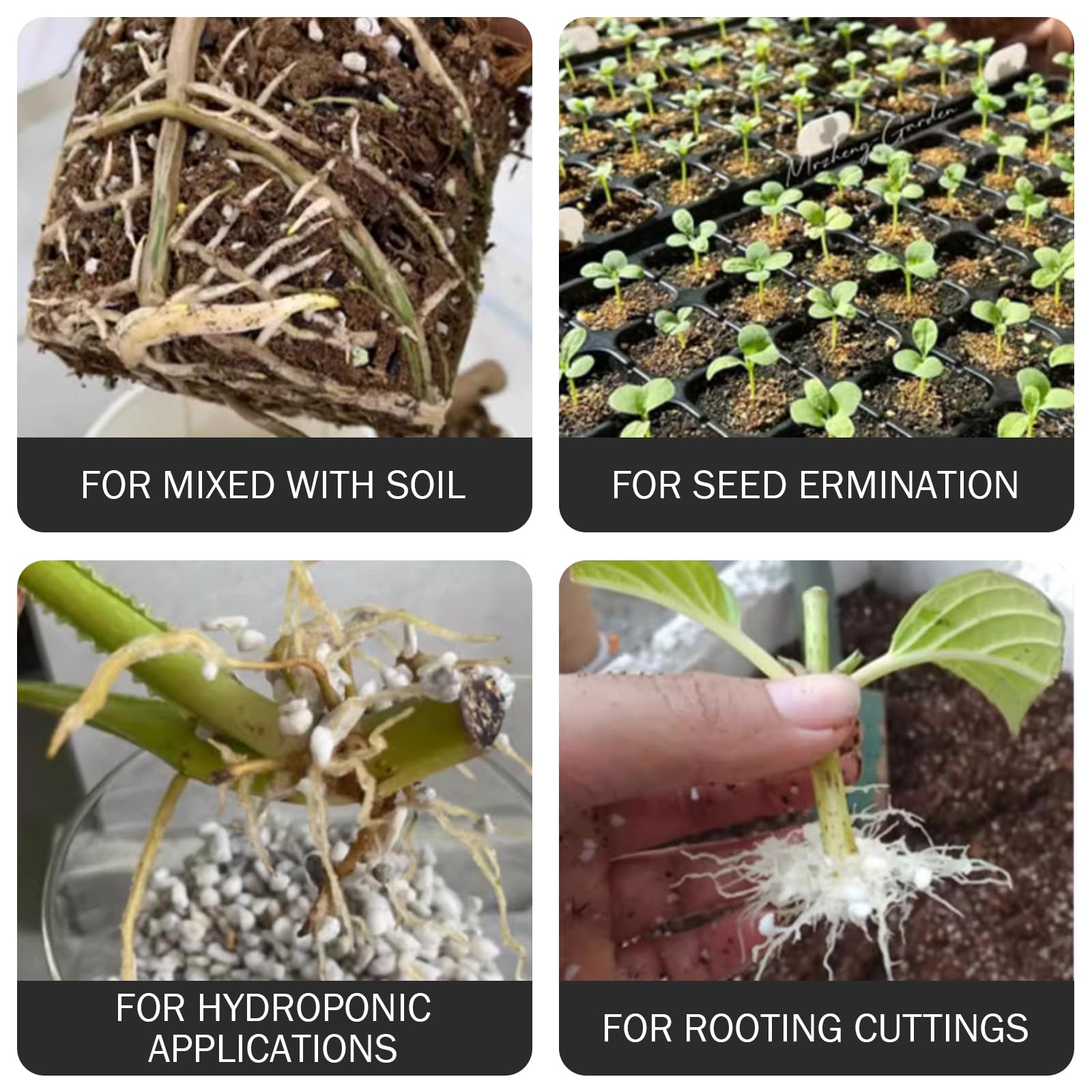 Perlite pour Le Jardinage, 25 L de Gros granulés de 3 à 6 mm pour Les Plantes, amendement Organique du Sol, aération et Drainage améliorés dans Le terreau