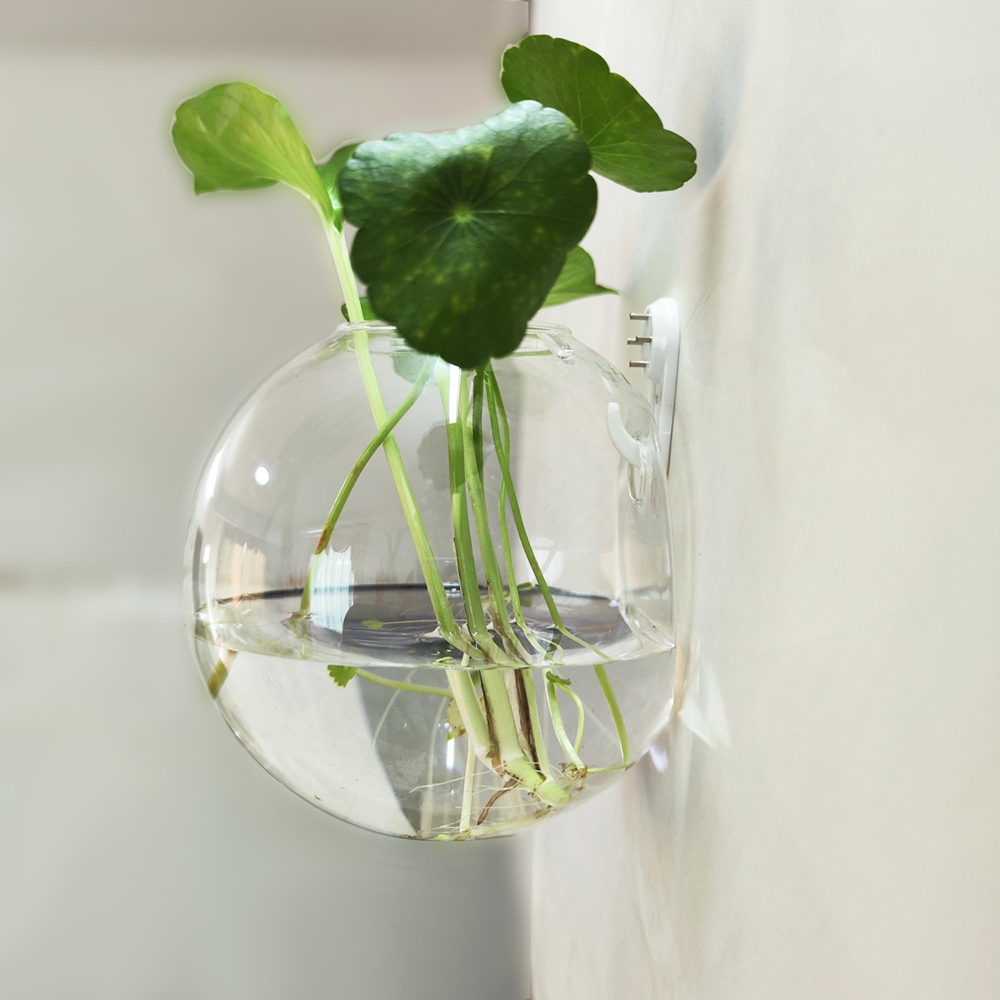 Yarlung Lot De 6 Pots De Fleurs à Suspendre Au Mur - Vase En Verre Transparent Support Mural Pour La Propagation De 1277264