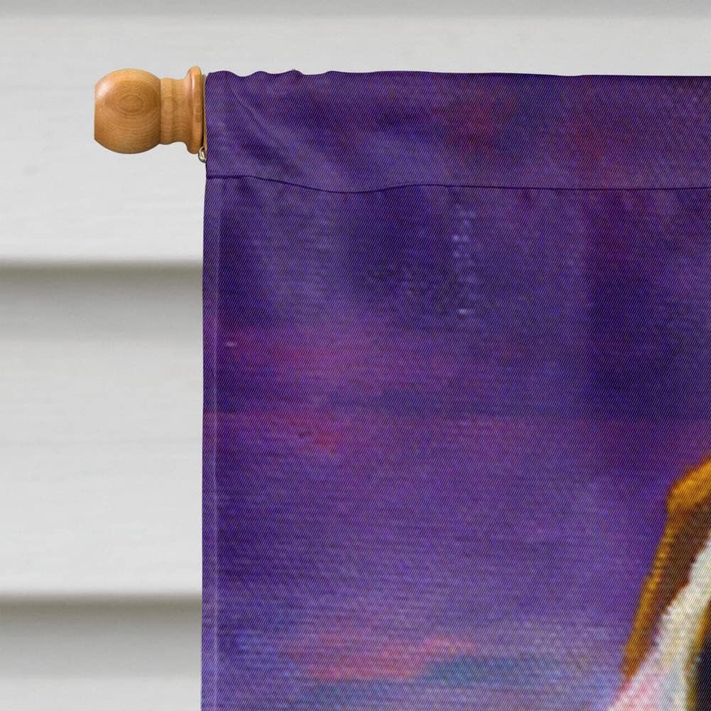 Caroline's Treasures 7287CHF Bull Terrier House Flag Large Porch Sleeve Pole Decorative Outside Yard Banner Artwork Wall Hanging, Polyester, House Size, Multicolor