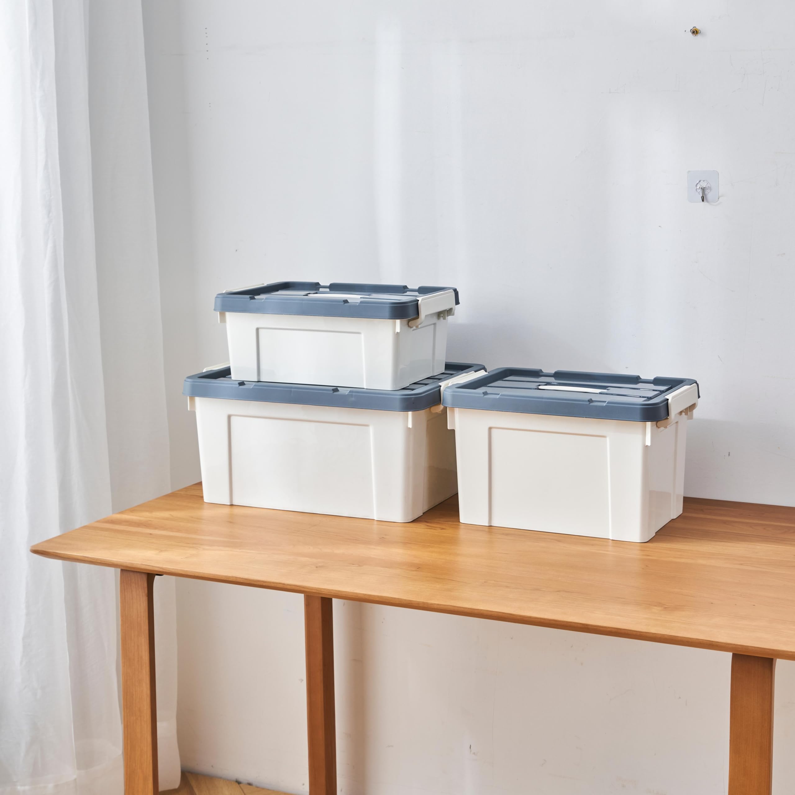 Cetomo 65L* 6Storage Dozen, Plastic Opbergdoos met Deksels
