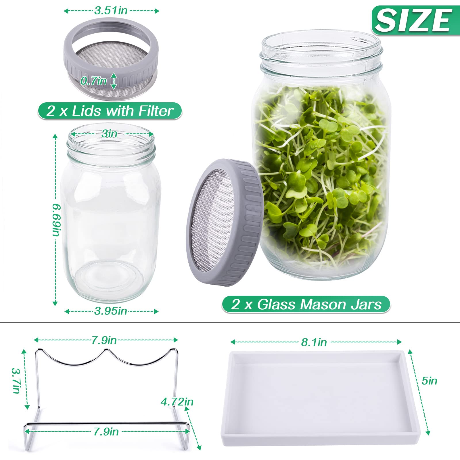 Seed Sprouting Jar Kit with 2 Wide Mouth Mason Jars Bean Sprouts Growing Kit Microgreens Growing Jar with Mesh Screen Lids Sprouter Sprouts Maker for Growing Broccoli, Alfalfa, Mung Bean