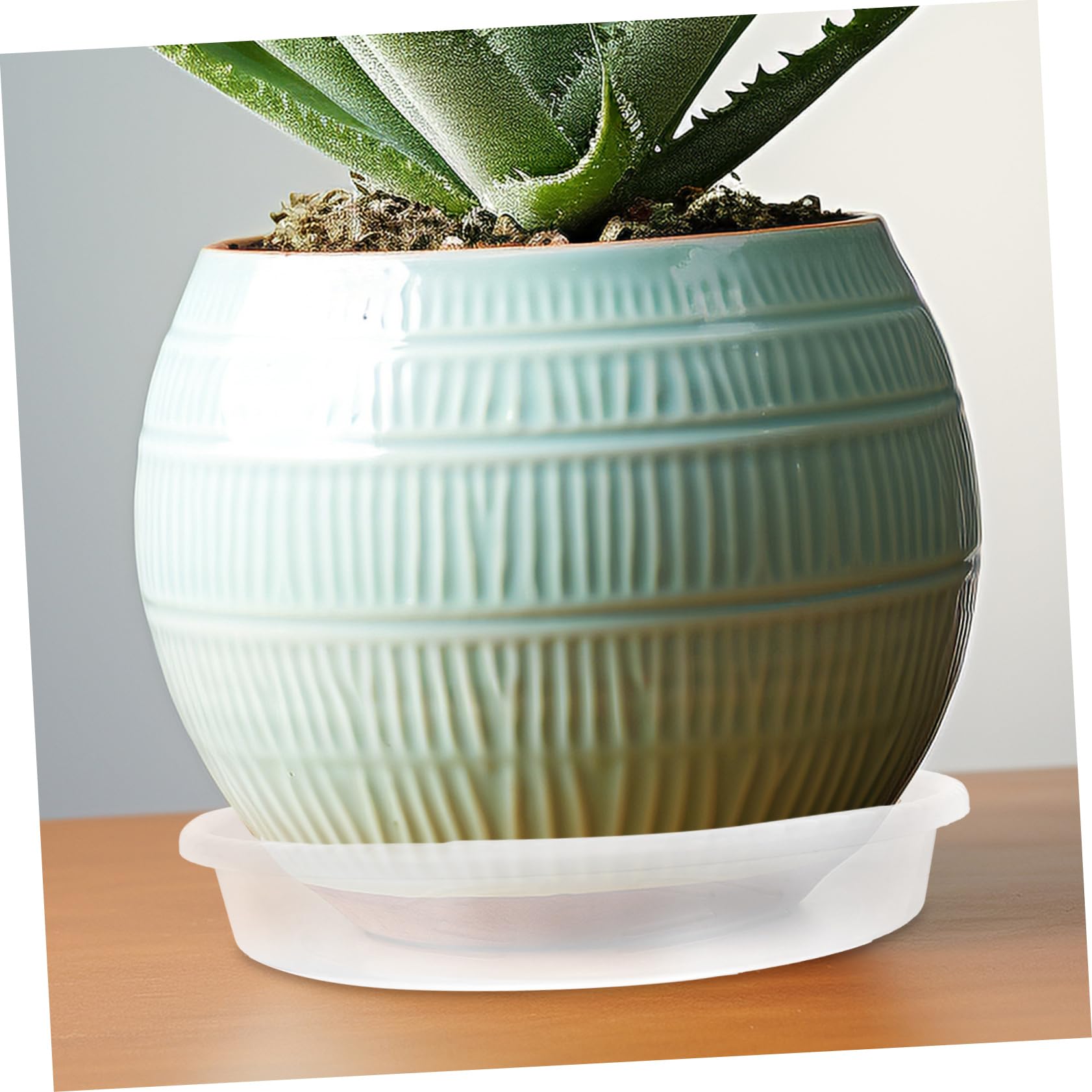 TOYANDONA Pflanztopf Untersetzer 20 Stück aus Pp, Rund, für Blumen Topf